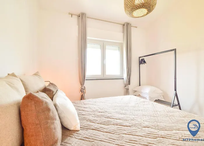 Eva Andorinha 2 Pax By Mtphomes *